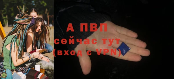 PSILOCYBIN Медвежьегорск
