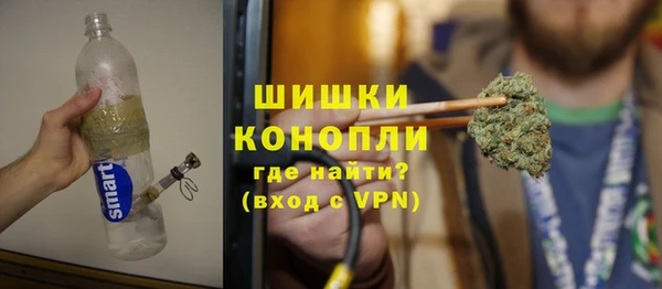 PSILOCYBIN Медвежьегорск