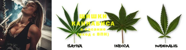 PSILOCYBIN Медвежьегорск
