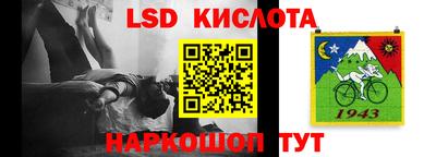 кокс Гатчина