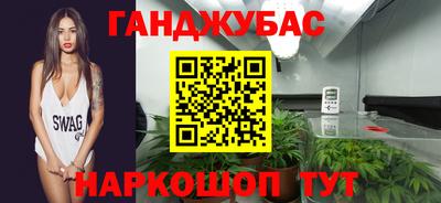 кокс Гатчина