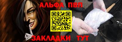 кокс Гатчина