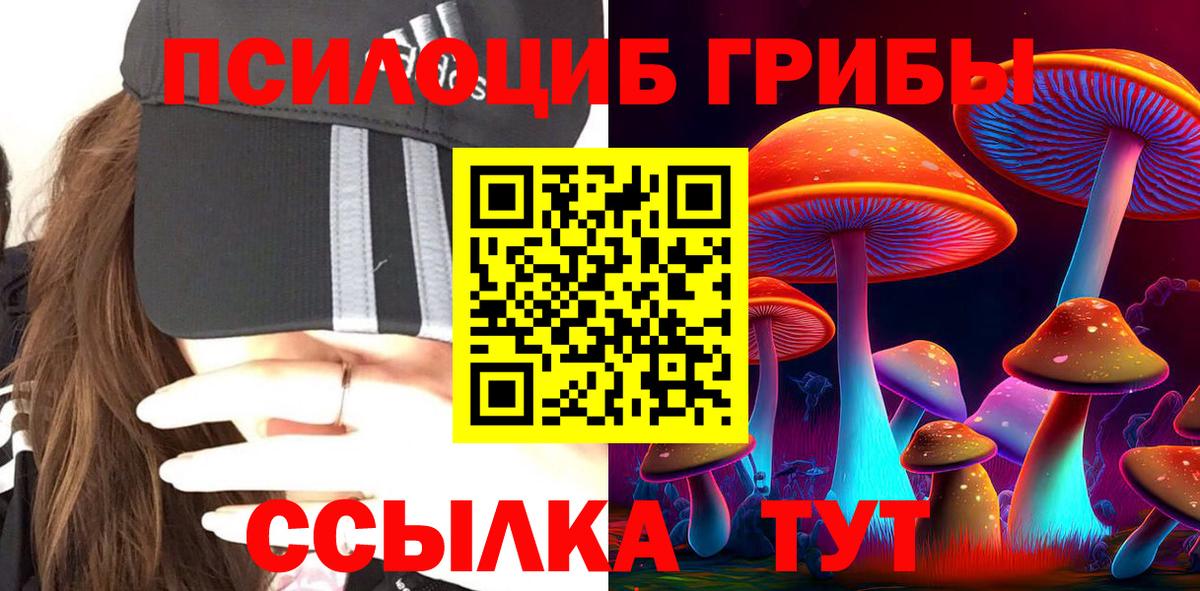 Альфа ПВП СК   Каннабис  Ангарск  Бошки Шишки  ГАШ  МЕФ кристаллы  АМФ кристаллы  COCAIN  Мефедрон   Экстази 