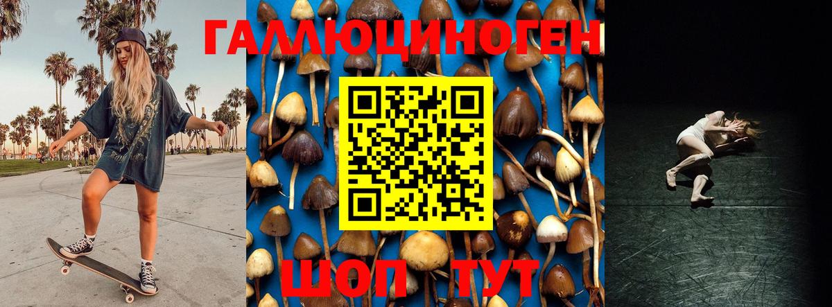 Ангарск  магазин  наркотиков  Вход с VPN  Галлюциногенные грибы ЛСД 