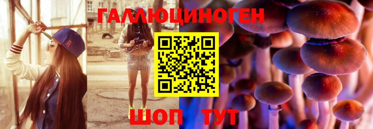 Псилоцибиновые грибы Magic Shrooms  Ангарск 